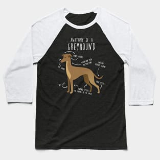 Greyhound Dog Anatomy Baseball T-Shirt